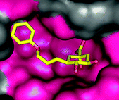 Graphical abstract: Rational design of new bifunctional inhibitors of type II dehydroquinase