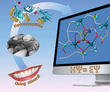 Graphical abstract: Themed Issue on characterization of adsorbed species