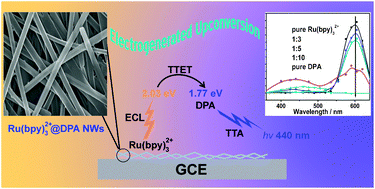 Graphical abstract: Electrogenerated upconverted emission from doped organic nanowires