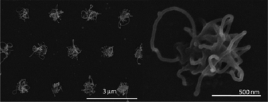 Graphical abstract: Directed/localized growth of multiwalled carbon nanotubes catalyzed by cobalt nanoclusters