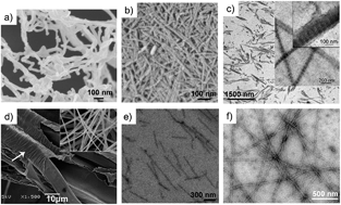 Graphical abstract: Functional hybrids based on biogenic nanofibrils and inorganic nanomaterials