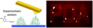 Graphical abstract: Synthesis of polydopamine at the femtoliter scale and confined fabrication of Ag nanoparticles on surfaces