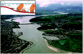 Graphical abstract: The interaction of human microbial pathogens, particulate material and nutrients in estuarine environments and their impacts on recreational and shellfish waters