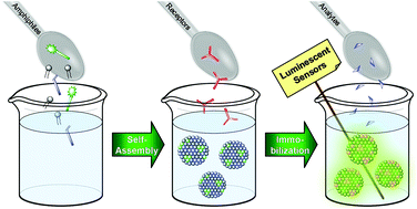 Graphical abstract: Preparation of luminescent chemosensors by post-functionalization of vesicle surfaces