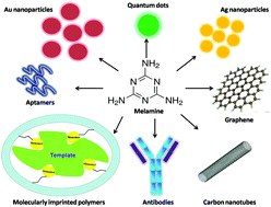 Graphical abstract: Chemical sensors and biosensors for the detection of melamine