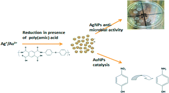 Graphical abstract: Synthesis and catalytic, antimicrobial and cytotoxicity evaluation of gold and silver nanoparticles using biodegradable, Π-conjugated polyamic acid