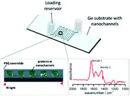 Graphical abstract: 10 nm deep, sub-nanoliter fluidic nanochannels on germanium for attenuated total reflection infrared (ATR-IR) spectroscopy