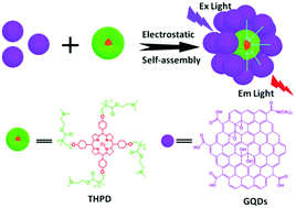 Graphical abstract: A srikaya-like light-harvesting antenna based on graphene quantum dots and porphyrin unimolecular micelles