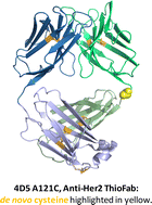 Graphical abstract: Element labeling of antibody fragments for ICP-MS based immunoassays