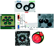 Graphical abstract: Chemical communication and dynamics of droplet emulsions in networks of Belousov–Zhabotinsky micro-oscillators produced by microfluidics