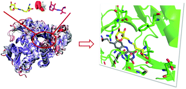 Graphical abstract: Molecular dynamics simulations provide insights into the substrate specificity of FAOX family members