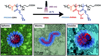 Graphical abstract: Room temperature synthesis of poly(poly(ethylene glycol) methyl ether methacrylate)-based diblock copolymer nano-objects via Photoinitiated Polymerization-Induced Self-Assembly (Photo-PISA)