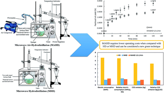 Graphical abstract: The extraction of essential oils from patchouli leaves (Pogostemon cablin Benth) using a microwave air-hydrodistillation method as a new green technique