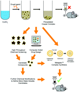 Graphical abstract: A Perspective – can copper complexes be developed as a novel class of therapeutics?