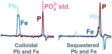 Graphical abstract: Effects of ortho- and polyphosphates on lead speciation in drinking water