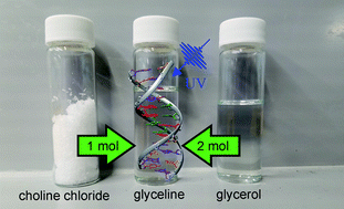 Graphical abstract: Excited-state dynamics of mononucleotides and DNA strands in a deep eutectic solvent