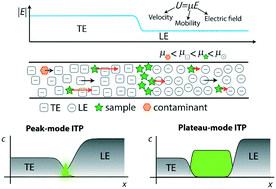 Graphical abstract: Isotachophoresis applied to biomolecular reactions