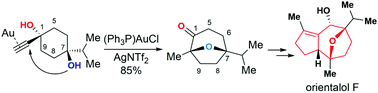 Graphical abstract: Total synthesis of orientalol F via gold-catalyzed cycloisomerization of alkynediol