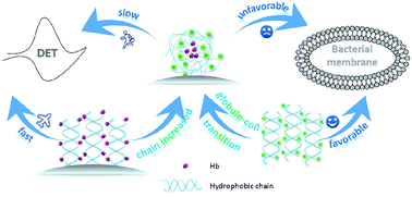 Graphical abstract: Construction of a quaternary ammonium salt platform with different alkyl groups for antibacterial and biosensor applications