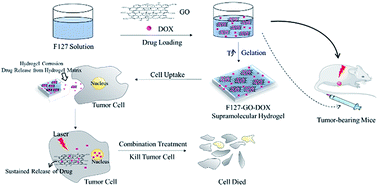 Graphical abstract: Physiologically stable F127-GO supramolecular hydrogel with sustained drug release characteristic for chemotherapy and photothermal therapy