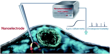 Graphical abstract: Advanced electroanalytical chemistry at nanoelectrodes