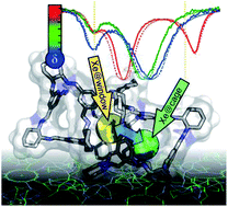 Graphical abstract: Inside information on xenon adsorption in porous organic cages by NMR