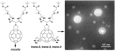 Graphical abstract: Micelle vs. vesicle formation controlled by distal functionalization of C60–PEG conjugates