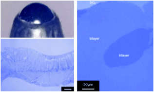 Graphical abstract: Directly writing 2D organic semiconducting crystals for high-performance field-effect transistors