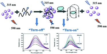 Graphical abstract: An “off–on” phosphorescent aptasensor for the detection of thrombin based on PRET