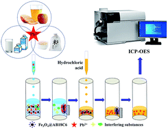 Graphical abstract: 4′-Aminobenzo-18-crown-6 functionalized magnetic nanoparticles as a solid-phase extraction adsorbent for the determination of Pb2+