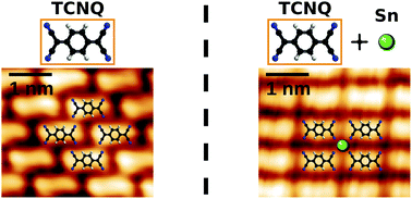 Graphical abstract: Building two-dimensional metal–organic networks with tin