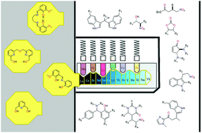 Graphical abstract: Transformative 3d–4f coordination cluster carriers