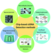 Graphical abstract: Circulating tumor DNA and liquid biopsy: opportunities, challenges, and recent advances in detection technologies