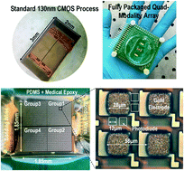 Graphical abstract: Multi-parametric cell profiling with a CMOS quad-modality cellular interfacing array for label-free fully automated drug screening