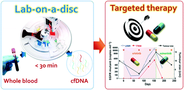 Graphical abstract: Fully automated, on-site isolation of cfDNA from whole blood for cancer therapy monitoring