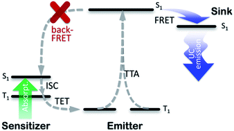 Graphical abstract: Enhancement of triplet-sensitized upconversion in rigid polymers via singlet exciton sink approach