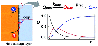 Graphical abstract: Ultrathin Fe-NiO nanosheets as catalytic charge reservoirs for a planar Mo-doped BiVO4 photoanode