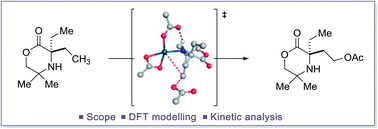 Graphical abstract: Mechanistic investigation into the C(sp3)–H acetoxylation of morpholinones