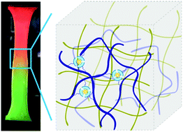 Graphical abstract: Simultaneous enhancement of mechanical strength and luminescence performance in double-network supramolecular hydrogels