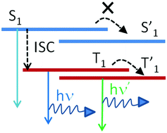 Graphical abstract: The influence of molecular conformation on the photophysics of organic room temperature phosphorescent luminophores