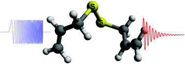 Graphical abstract: How flexible is the disulfide linker? A combined rotational–computational investigation of diallyl disulfide