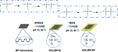 Graphical abstract: Facile passivation of black phosphorus nanosheets via silica coating for stable and efficient solar desalination