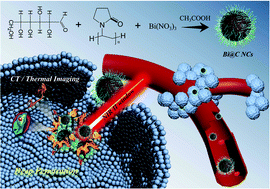 Graphical abstract: Gram-scale fabrication of Bi@C nanoparticles through one-step hydrothermal method for dual-model imaging-guided NIR-II photothermal therapy