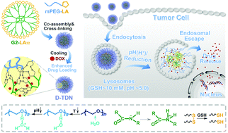 Graphical abstract: Rational design and facile fabrication of biocompatible triple responsive dendrimeric nanocages for targeted drug delivery