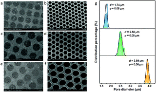 Graphical abstract: Surface modification of self-assembled isoporous polymer membranes for pressure-dependent high-resolution separation