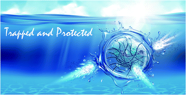 Graphical abstract: Unusual confinement properties of a water insoluble small peptide hydrogel
