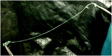 Graphical abstract: Elastic sheath–liquid crystal core fibres achieved by microfluidic wet spinning