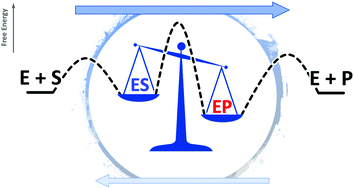 Graphical abstract: Catalytic bias in oxidation–reduction catalysis