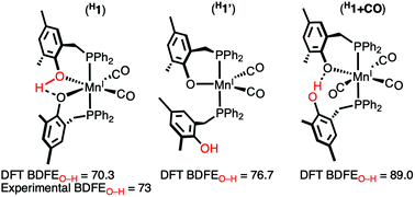 Graphical abstract: A hemilabile manganese(i)–phenol complex and its coordination induced O–H bond weakening