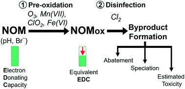 Graphical abstract: Comparison of the impact of ozone, chlorine dioxide, ferrate and permanganate pre-oxidation on organic disinfection byproduct formation during post-chlorination